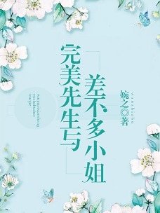 《完美先生与差不多小姐》