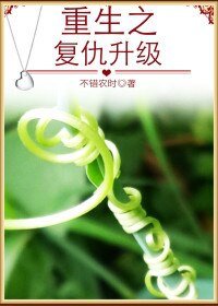 《重生之复仇升级》