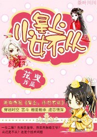 《皇上,小女不从》