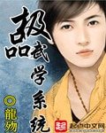 《极品武学系统》
