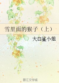 雪里面的猴子(上)