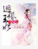 逃婚王妃当盟主