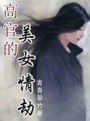 《邂逅女设计师:高官情劫/高官的美女情劫》
