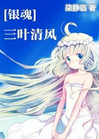 《(銀线同人)三葉清風》