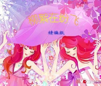 柳絮在纷飞