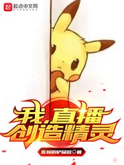 (宠物小精灵同人)我,直播创造精灵