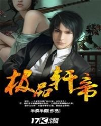 《极品轩帝》