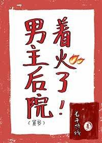 男主后院着火了[穿书] 