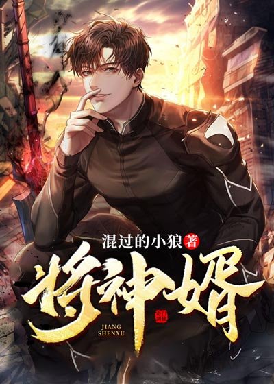 《将神婿》