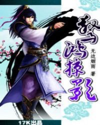 《惊鸿掠影》