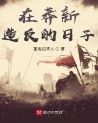 《在莽新造反的日子》