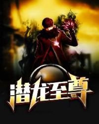 《陈庆之苏晚盈》