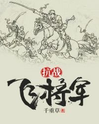 《抗战飞将军》
