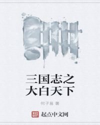 三国志之大白天下