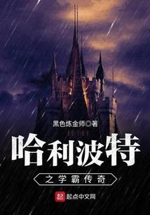 《(HP同人)哈利波特之学霸传奇》