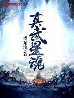 《真武星魂》