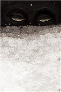 《見雪深(灑家)》