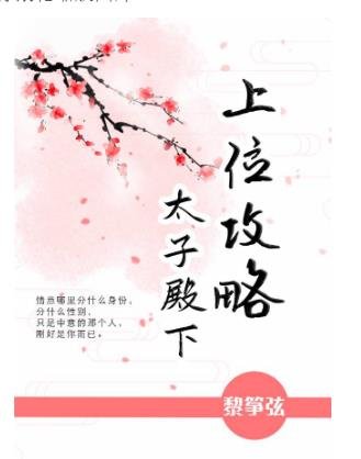 《太子殿下上位攻略》