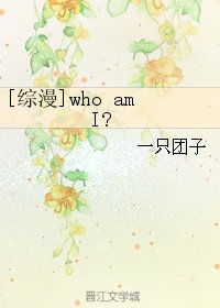 (BL/綜漫同人)who am I?