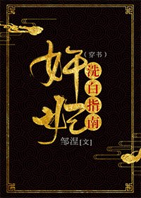 《奸妃洗白指南(穿书)》