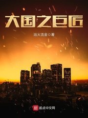 《大国之巨匠》