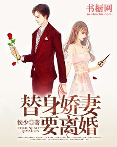 《替身娇妻要离婚》