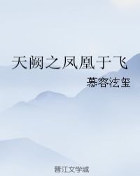 《天闕之鳳凰于飛》