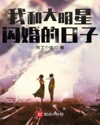 《我和大明星闪婚的日子》