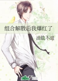 《组合解散后我爆红了》
