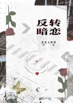 《反转暗恋》