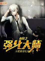 《木叶之强化大师》