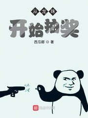 《从龙珠开始抽奖》