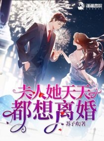 《夫人她天天都想离婚》