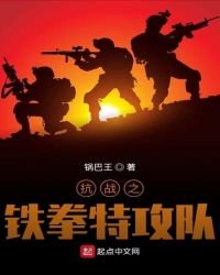 《抗战之铁拳特攻队》