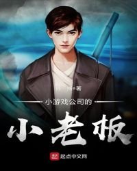 《小游戏公司的小老板》
