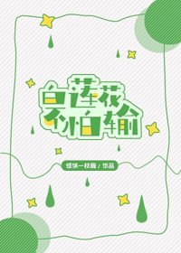 白蓮花不怕輸