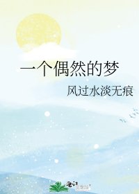 《一个偶然的梦》