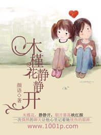 《木槿花静静开》