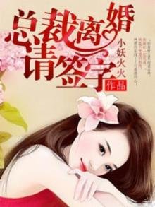 《总裁离婚请签字》