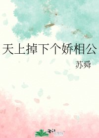 天上掉下个娇相公