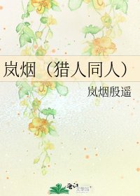 嵐煙(獵人同人)