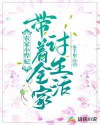 《农家小悍妃:带着全家讨生活》