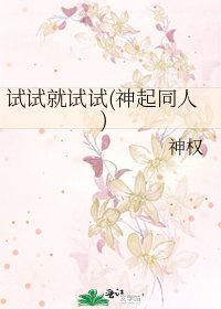 《试试就试试(神起同人)》