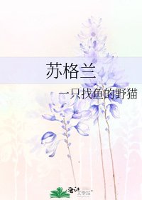 《蘇格蘭》