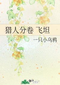 《猎人分卷 飞坦》