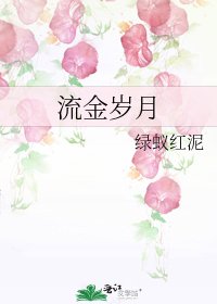 《流金岁月》
