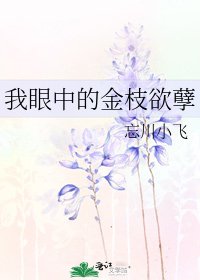 《我眼中的金枝欲孽》