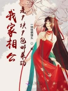 《我家相公是9块9包邮来的》