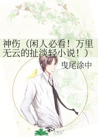 《神伤(闲人必看!万里无云的扯淡轻!)》