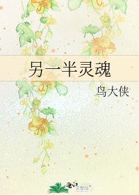 另一半灵魂